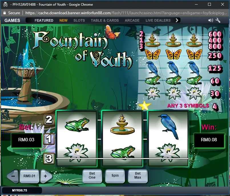 Fountain of Youth paytable listing symbol payouts