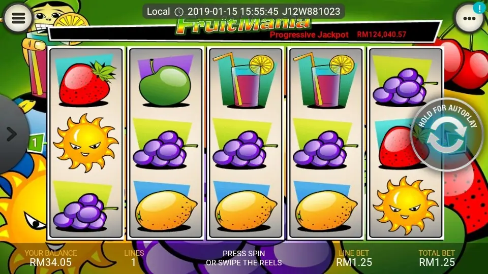 Fruit Mania payline layout across the five reels