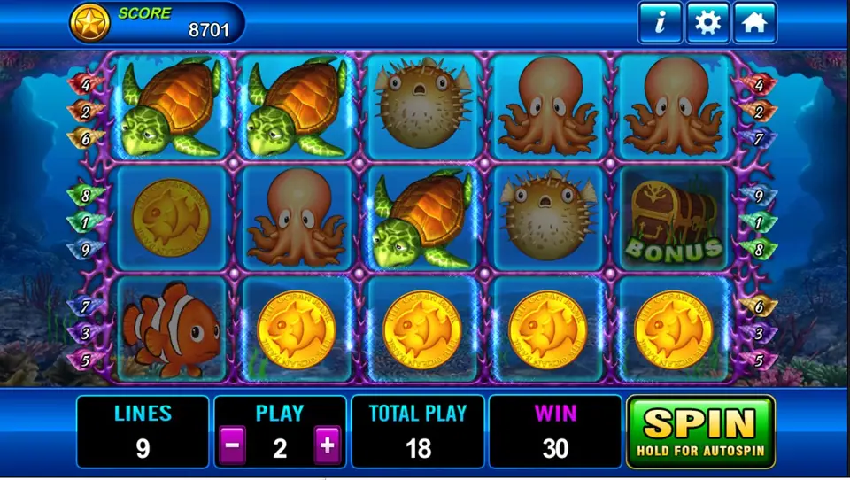 Dolphin reels with turtles, seahorses and the shell scatter