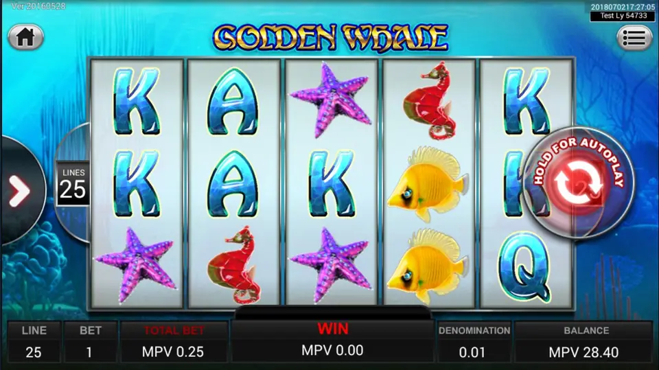 Golden Whale reels with an underwater backdrop and the whale logo